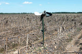 Mojo Wind Dove Decoy
