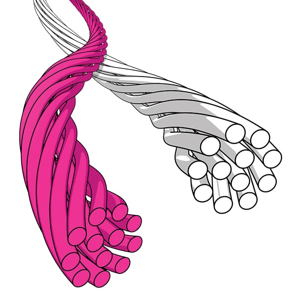 Genesis String Custom – Outdoor Addiction