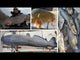 Whisker Seeker Catfish/Carp Rod Casting