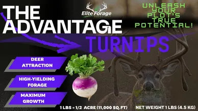 Elite Forage Solutions Food Plot Seed