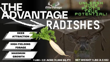 Elite Forage Solutions Food Plot Seed