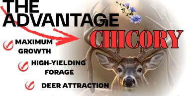 Elite Forage Solutions Food Plot Seed
